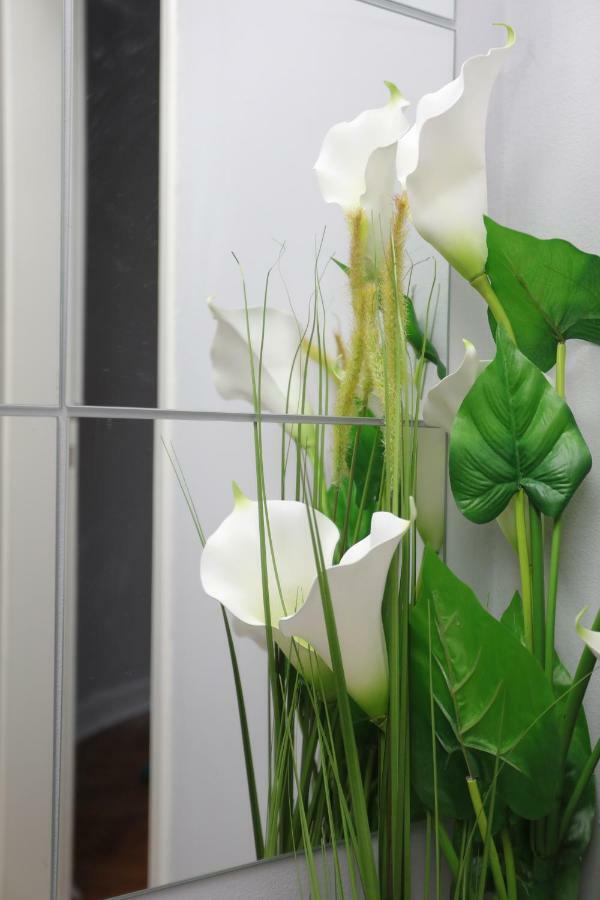 Skadar Apartment Belgrad Exterior foto